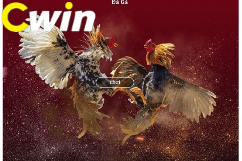F88bet hỗ trợ đến mức nào? - F88bet
