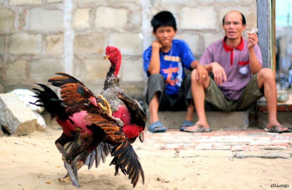 Trò chơi trên Blog Fm88 - Fm88