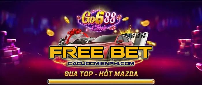 Tại sao nên chọn Vb66 Club? - Vb66