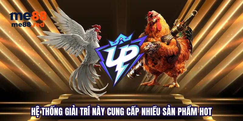 Những điểm cần lưu ý khi sử dụng các hoạt động khuyến mãi của 7Ball - 7Ball
