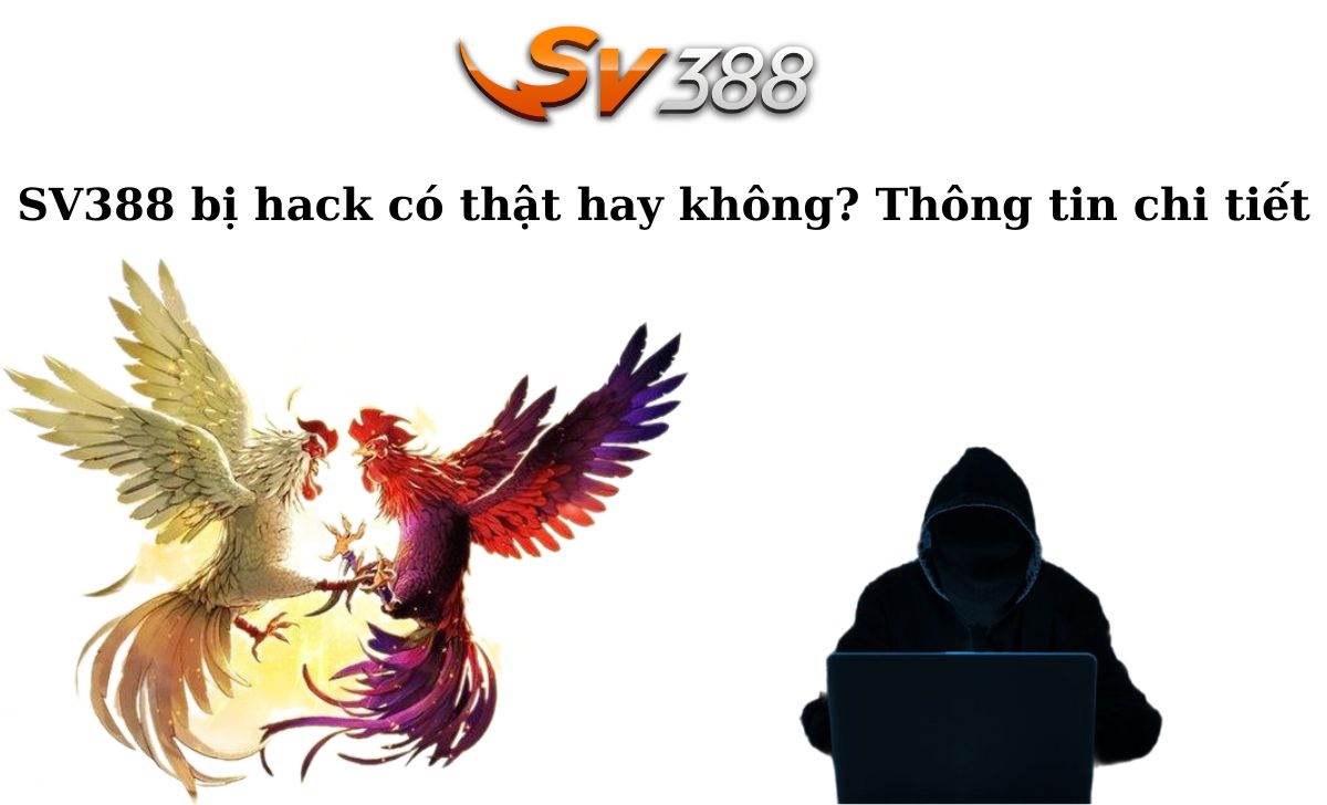Mu8 Online cung cấp những trò chơi nào? - Mu8
