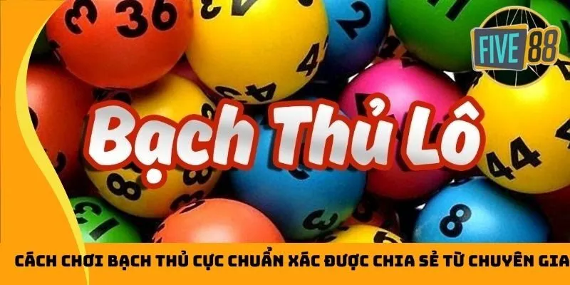 Cách nhận 100000 điểm thưởng miễn phí khi đặt cược vào Raybet 88 – điều này ai cũng nên biết - Raybet
