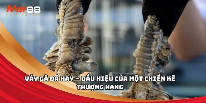 So sánh Oxbet với một số trang web chơi game khác hiện có - Oxbet