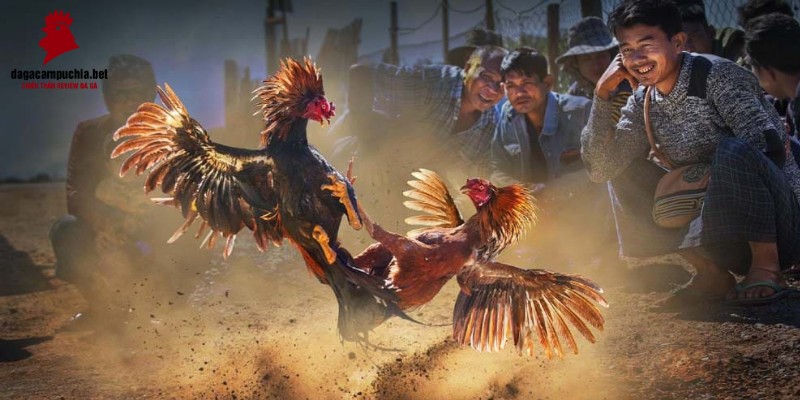 Những ưu điểm chính của trang web cổng game Mot88 - Mot88