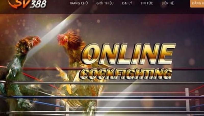Các sòng bạc trực tuyến được xếp hạng Ax88 cung cấp các trò chơi giải trí chất lượng cao - Ax88