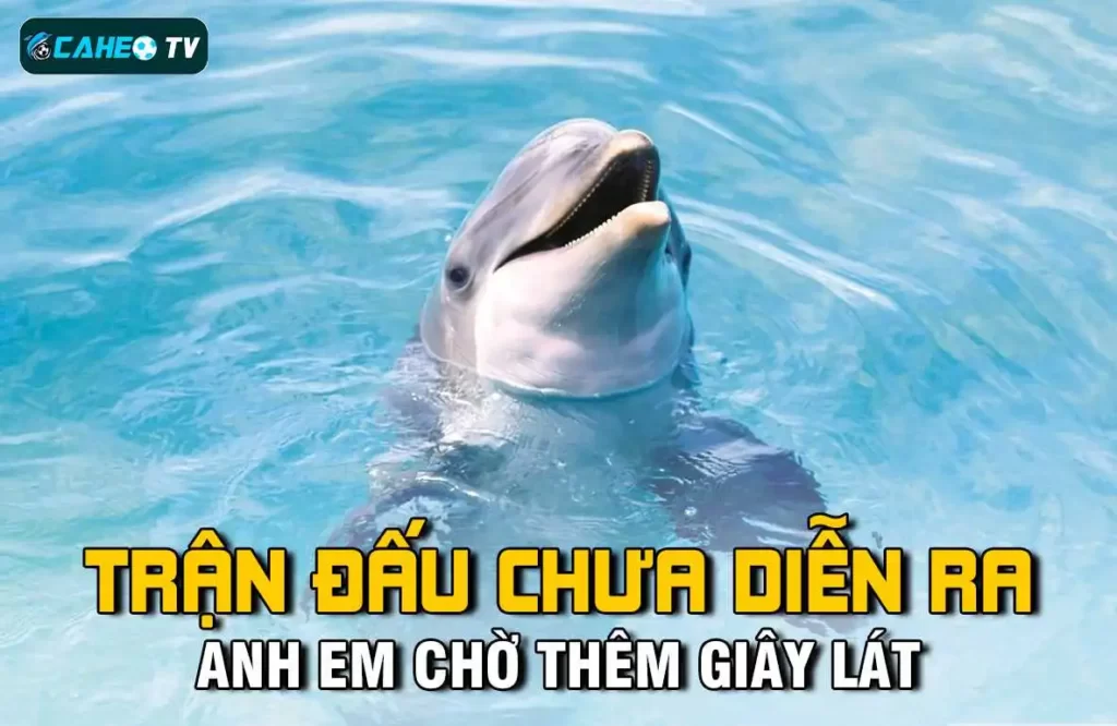 Phương thức rút và gửi tiền Tobet - Tobet